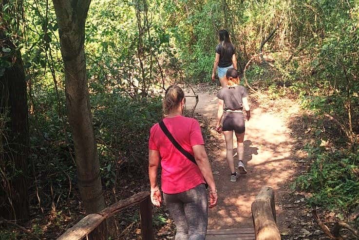 Learn about the local fauna and flora