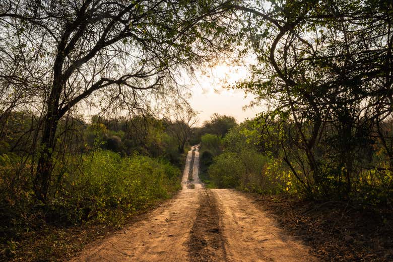 Senderos del Parque Nacional El Impenetrable