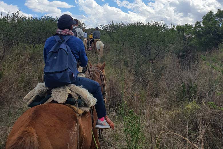 Explore the sierra of Cordoba on horseback
