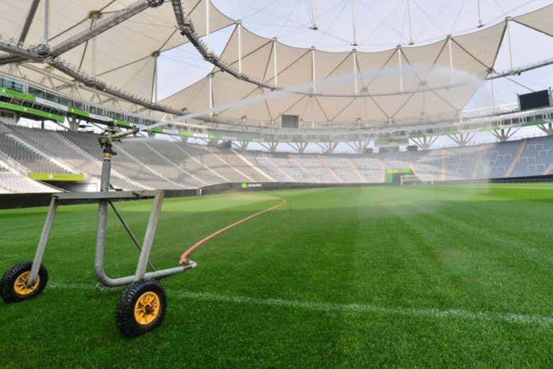 Gazon de l'Estadio Único