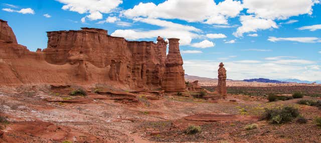 Excursion aux parcs de la Vallée de la Lune et de Talampaya