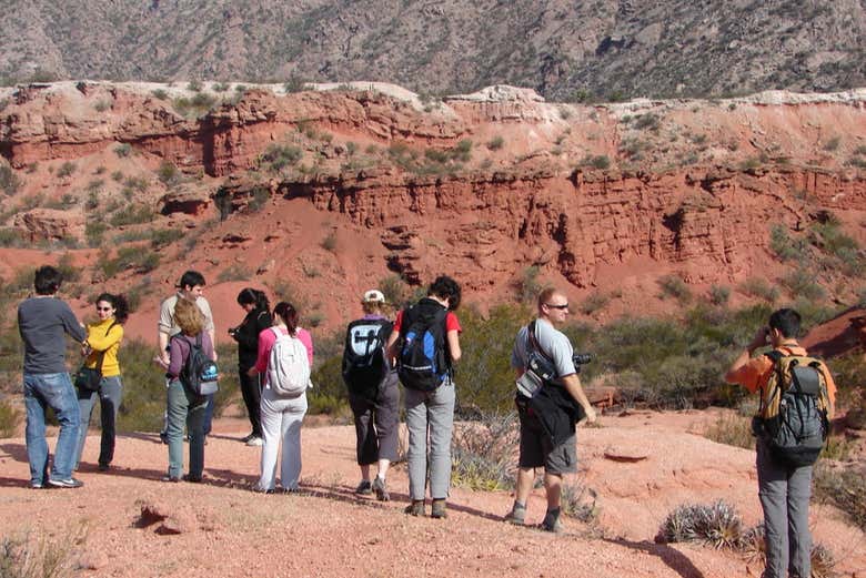 Explorando el parque