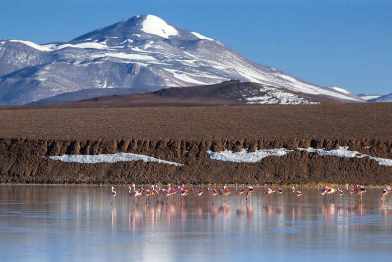 A paisagem na Laguna Brava
