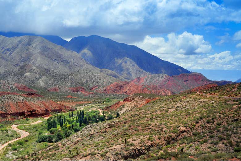 Paisajes de la Cuesta de Miranda
