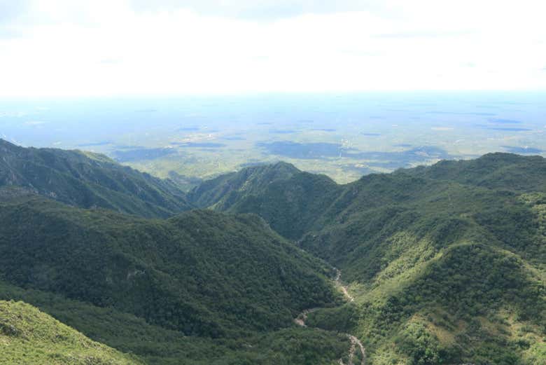 See if you can spot Andean condors flying!