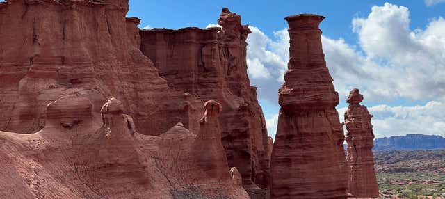 Vallée de la Lune, Talampaya et Laguna Brava en 2 jours