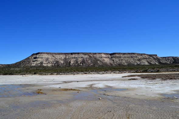 Excursión al Fuerte Argentino + Snorkel en la laguna Loma Blanca