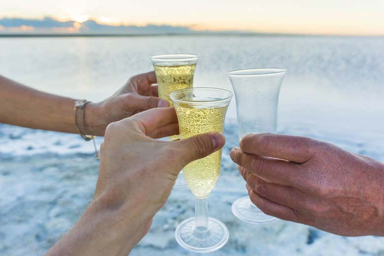 Brindis en las Salinas del Gualicho