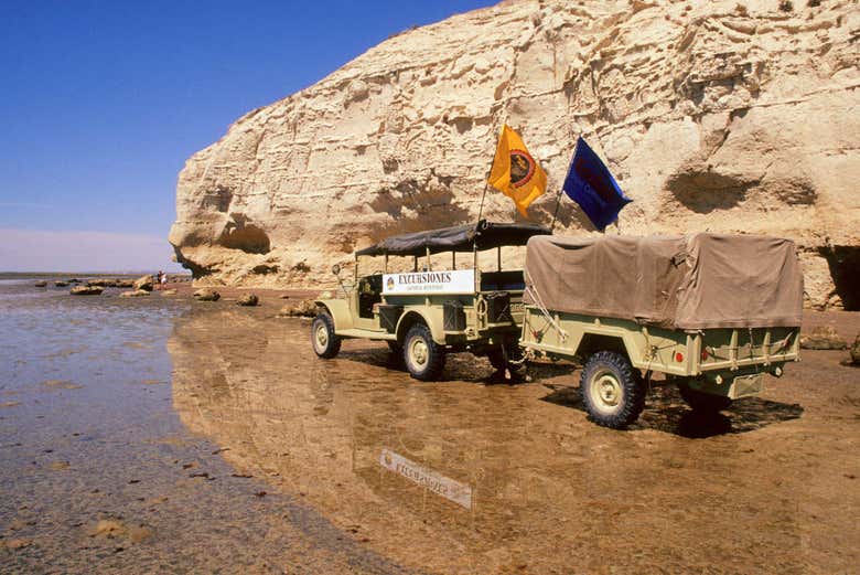 All terrain trucks in El Sótano