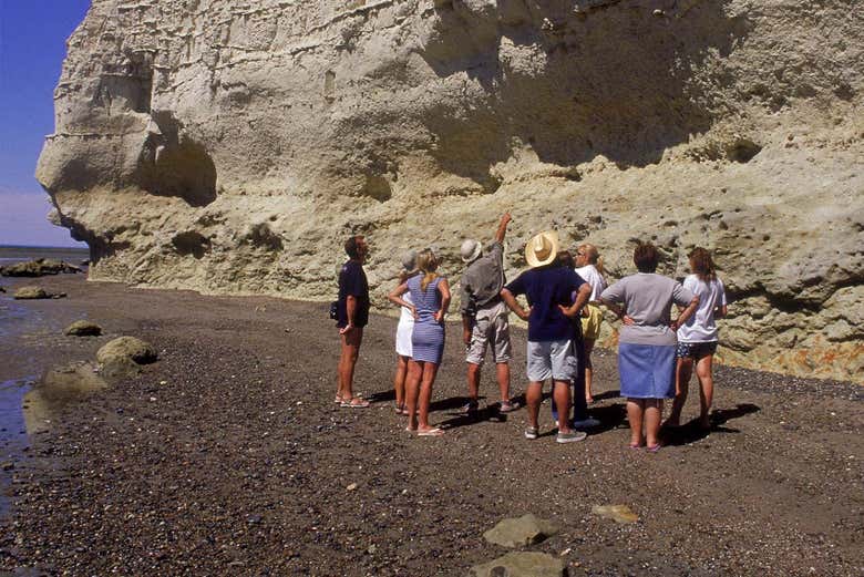 Conhecendo os fósseis do Cañadón de las Ostras
