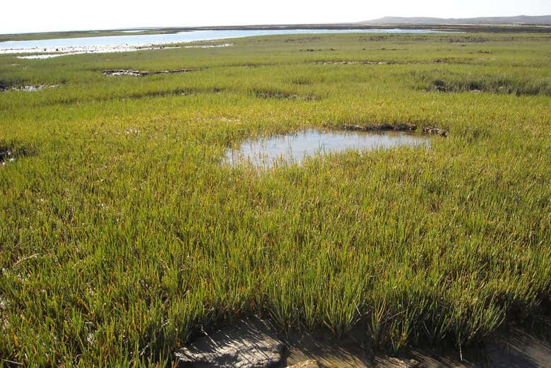 Paisagens da zona costeira de El Sótano