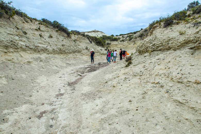 Visitando o Cañadón de las Ostras