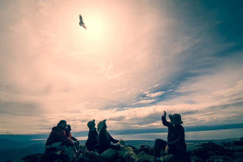 Contemplando el vuelo de las aves desde la meseta