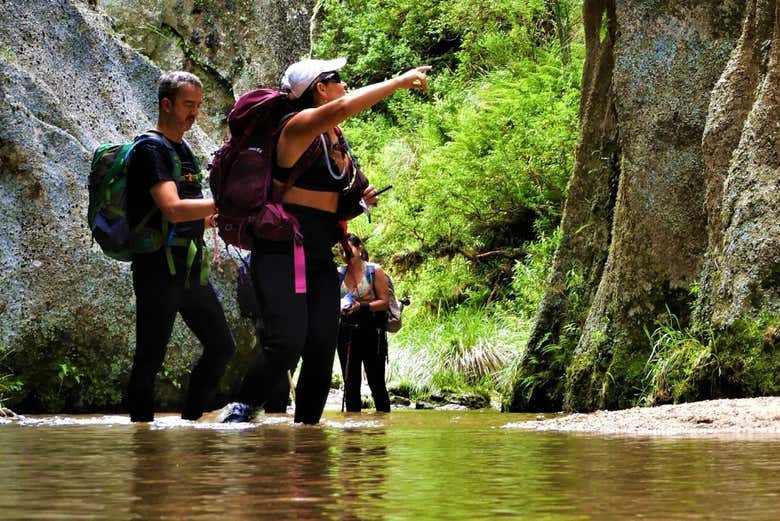 Conhecendo a natureza de Los Gigantes