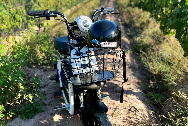 Moto eléctrica entre viñedos
