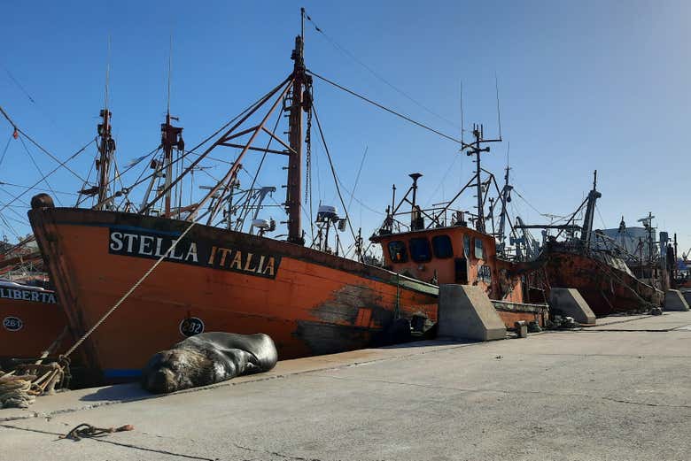 Puerto de Mar del Plata