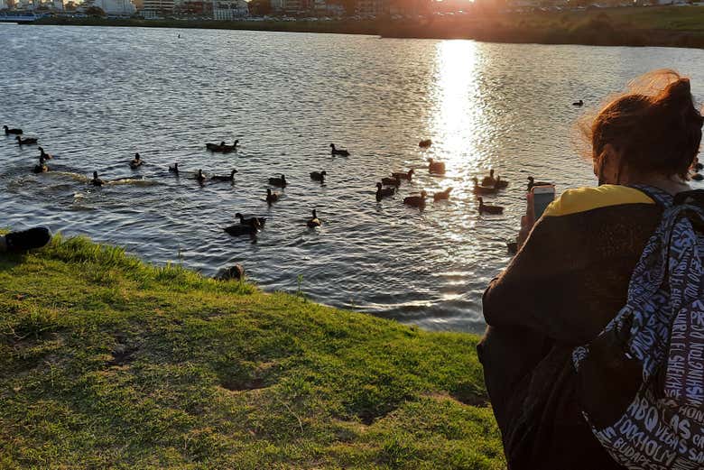 Disfrutando de la ruta costera