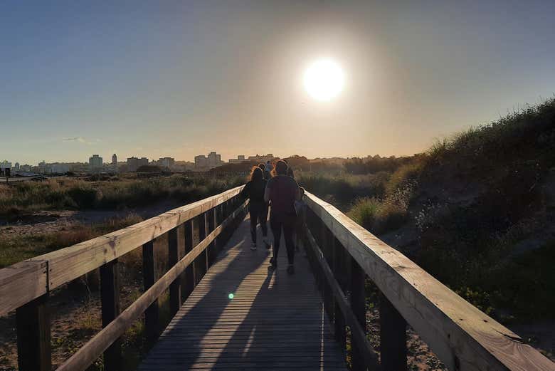 Pasarela de madera en las playas de Mar del Plata