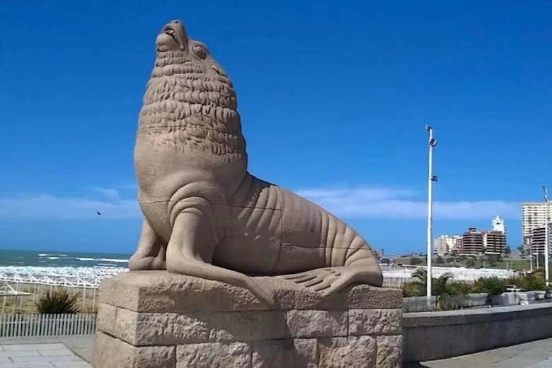 Contemplando los emblemáticos Lobos Marinos