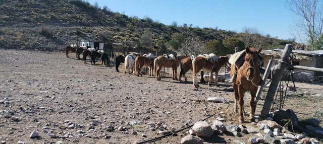 Passeggiata a cavallo alla tenuta Las Hermosas + Asado argentino