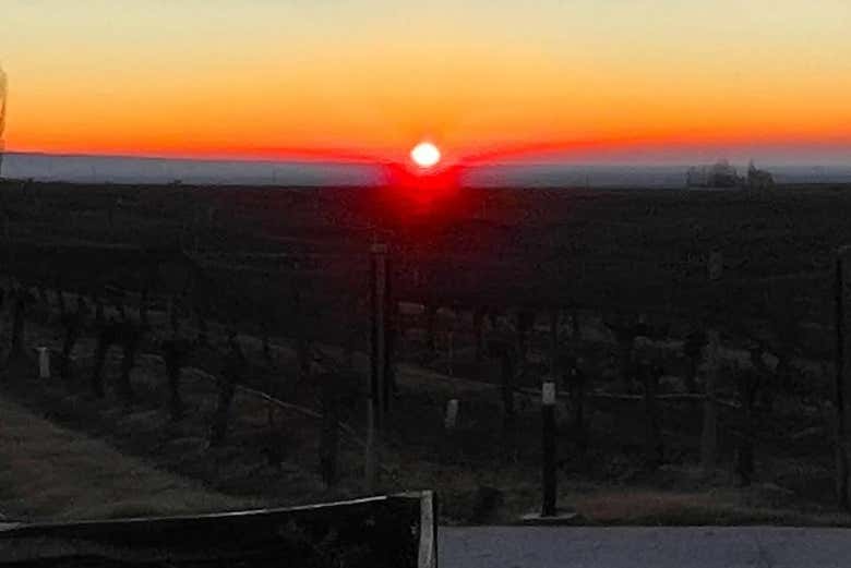 Atardecer en la Bodega Andeluna