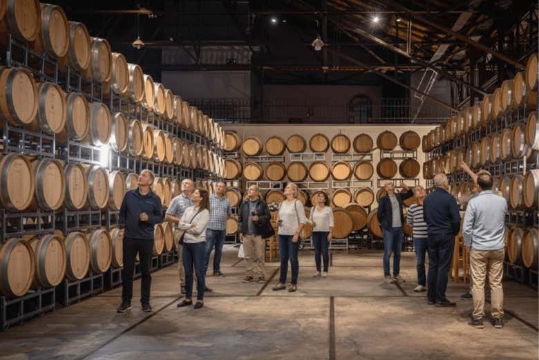 Alla scoperta della cantina