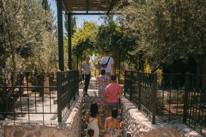 Visitando los jardines de Casa Vigil Bodega