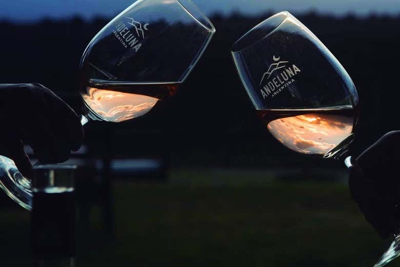 Disfrutaréis de una experiencia gastronómica inmejorable