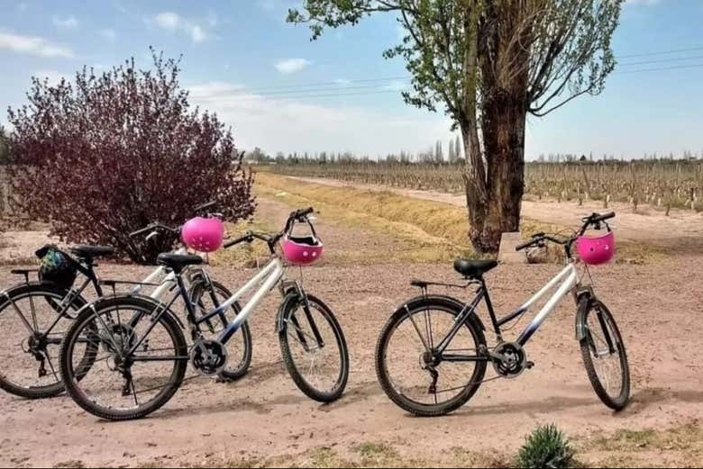 Bicicletas en los viñedos