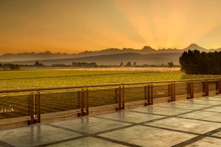 Atardecer en la bodega Séptima