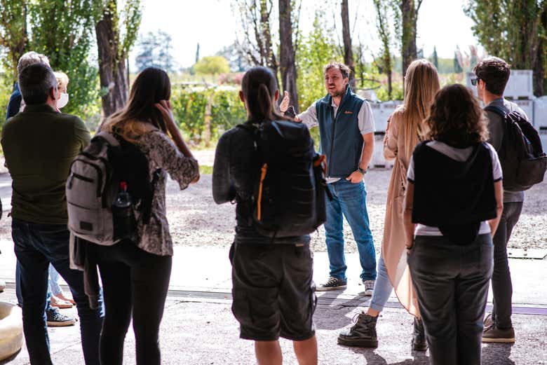 Visiteurs attentifs aux explications du guide