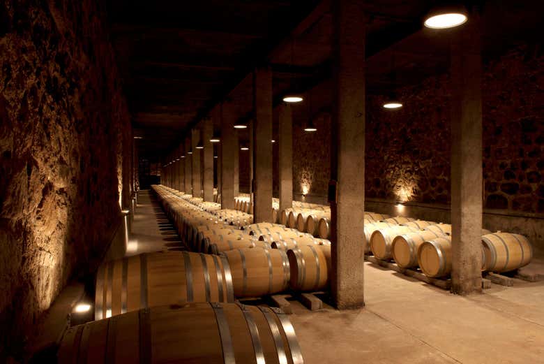 Barricas de la bodega Benegas