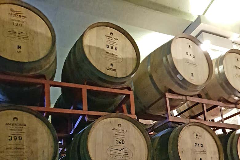 Barricas de vino en Luján de Cuyo