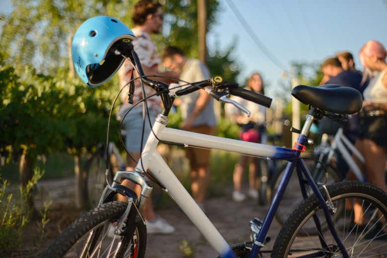 Detalle de una de las bicicletas