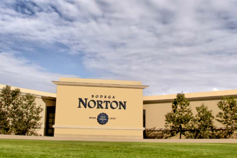 Bodega Norton