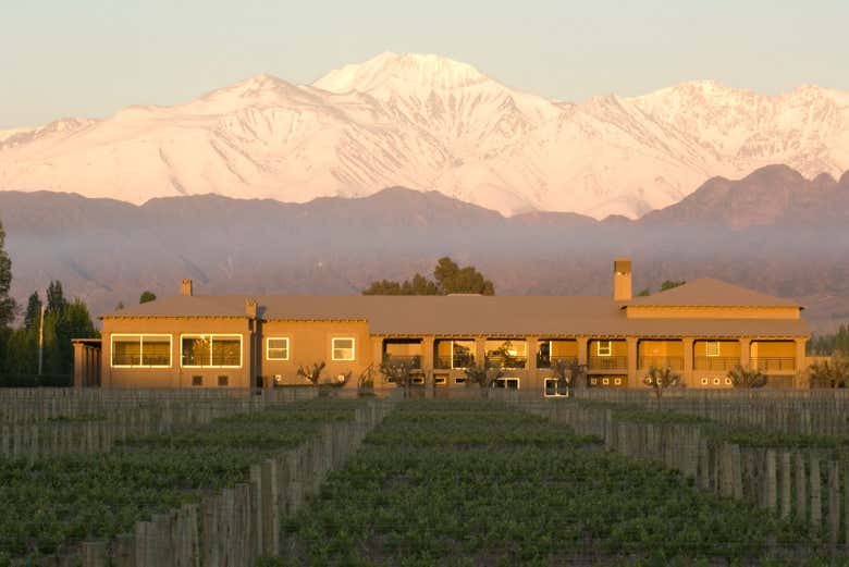 Bodega Vistalba
