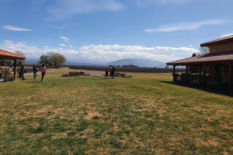 Visit wineries at the foot of the Andes!