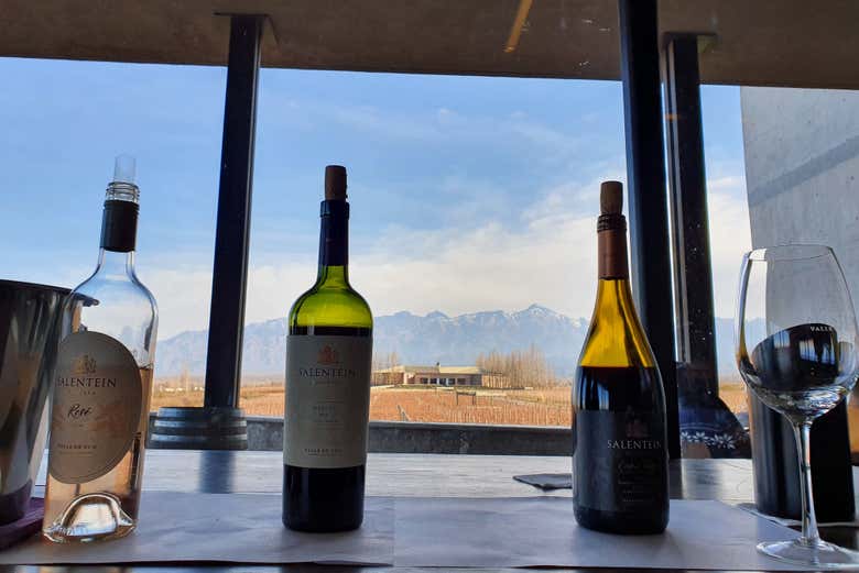 WInes from the Salentein Uco Valley Winery