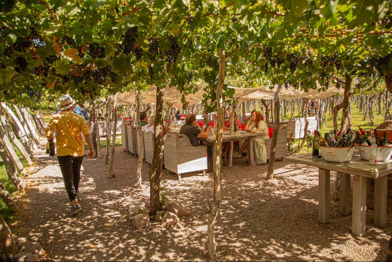 Restaurante Ramos Generales durante el día
