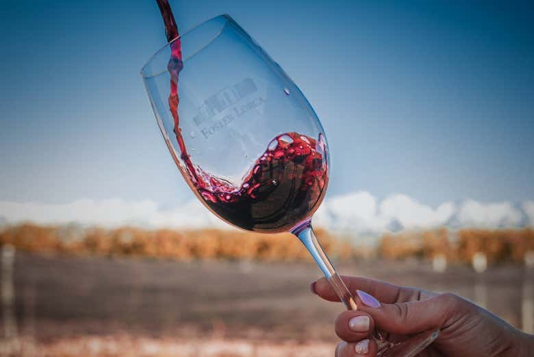 Verre à vin Foster Lorca