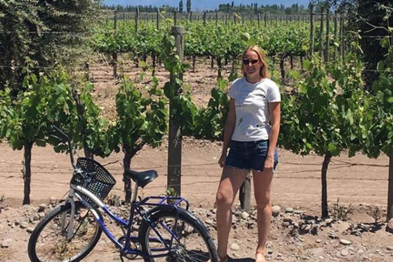 Vineyards