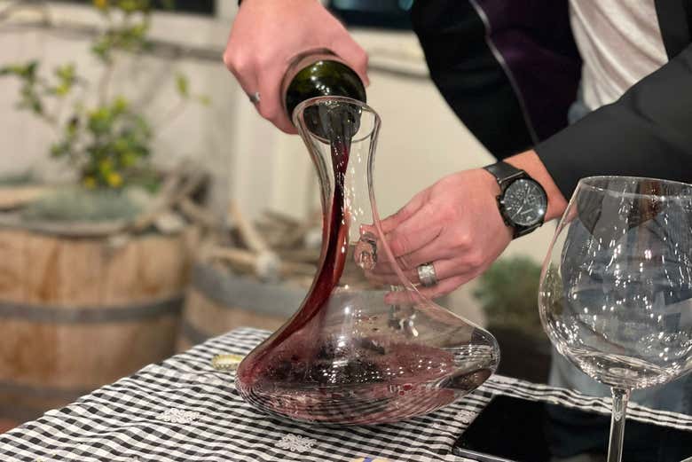 Découvrez le vin rouge Malbec