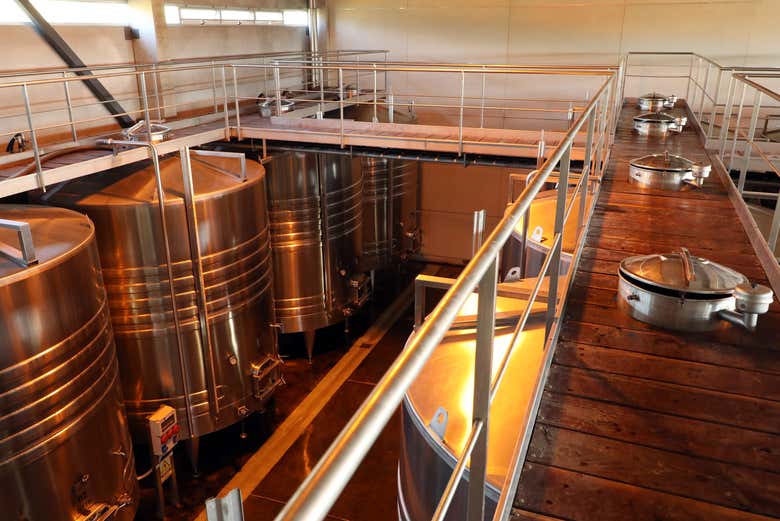 Botti della cantina Huarpe Riglos