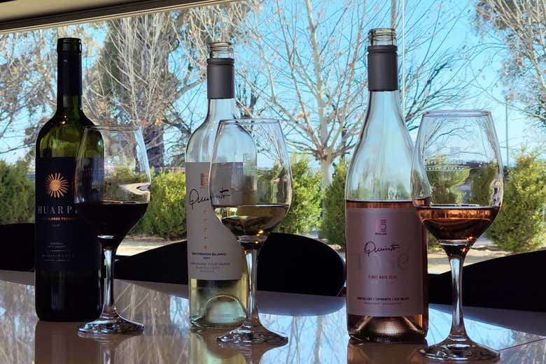 Vini della degustazione