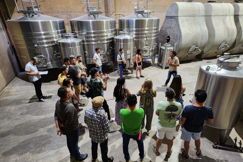 Découvrez la salle de fermentation du vin