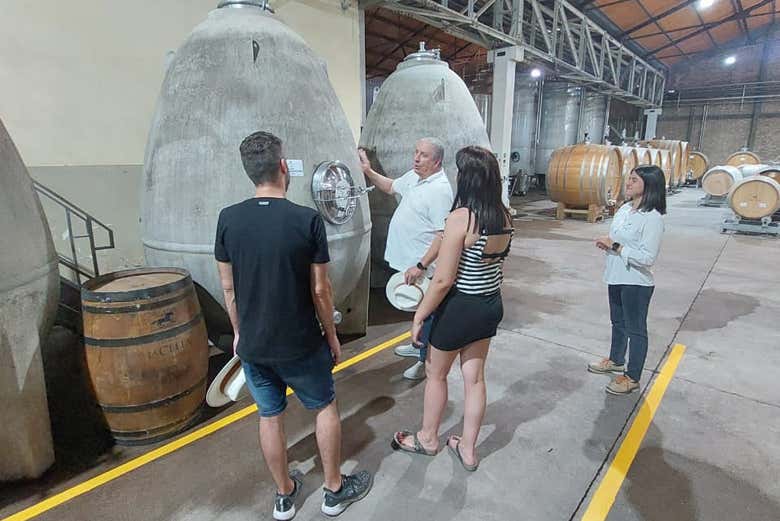 Nas adegas de La Celia