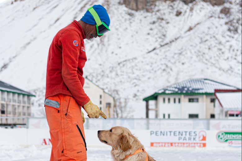 Entrenando a uno de los perros de rescate de la estación