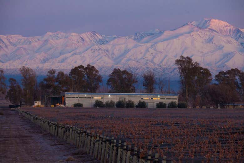 Instalações da vinícola Huarpe Riglos ao entardecer