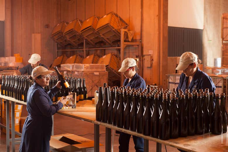 Empaquetado de botellas en la bodega Cruzat