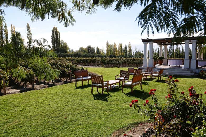 Jardines de la bodega Nieto Senetiner